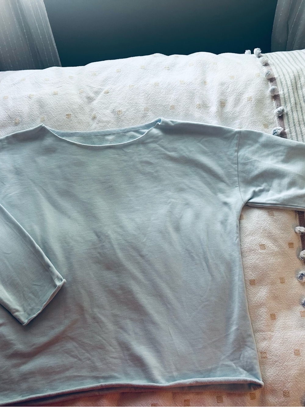 Robins egg blue wide neck cotton sweatshirt